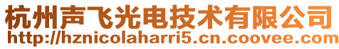 杭州聲飛光電技術有限公司