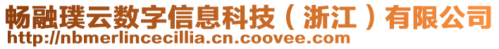暢融璞云數(shù)字信息科技(浙江)有限公司