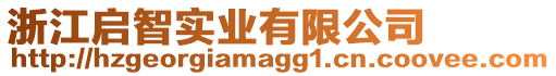 浙江啟智實業有限公司