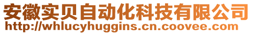 安徽實貝自動化科技有限公司