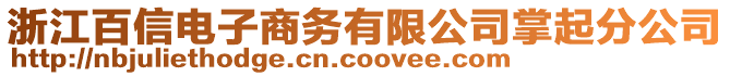 浙江百信電子商務有限公司掌起分公司