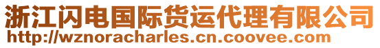 浙江閃電國際貨運代理有限公司