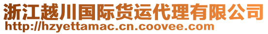 浙江越川國(guó)際貨運(yùn)代理有限公司