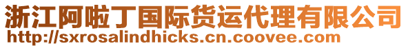 浙江阿啦丁國(guó)際貨運(yùn)代理有限公司