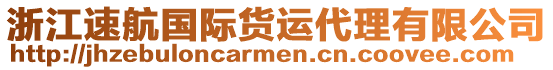 浙江速航國(guó)際貨運(yùn)代理有限公司