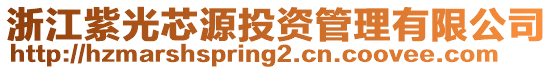 浙江紫光芯源投資管理有限公司