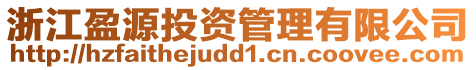 浙江盈源投資管理有限公司