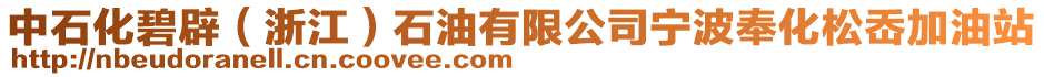 中石化碧辟（浙江）石油有限公司寧波奉化松岙加油站