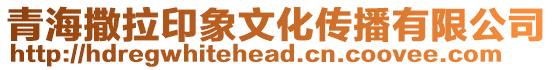 青海撒拉印象文化傳播有限公司