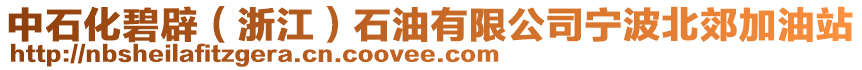 中石化碧辟（浙江）石油有限公司寧波北郊加油站