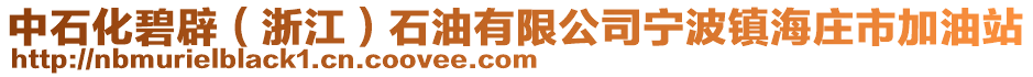 中石化碧辟（浙江）石油有限公司寧波鎮海莊市加油站