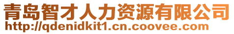 青島智才人力資源有限公司