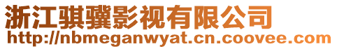 浙江騏驥影視有限公司