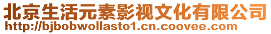 北京生活元素影視文化有限公司