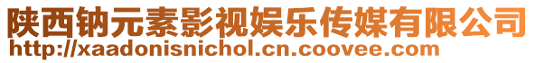 陜西鈉元素影視娛樂傳媒有限公司