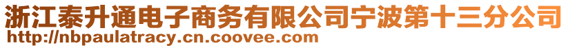 浙江泰升通電子商務有限公司寧波第十三分公司