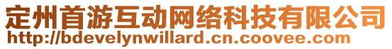 定州首游互動(dòng)網(wǎng)絡(luò)科技有限公司