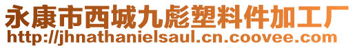 永康市西城九彪塑料件加工廠