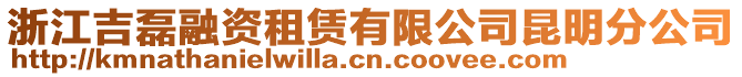 浙江吉磊融資租賃有限公司昆明分公司