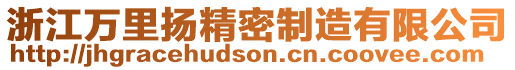 浙江萬里揚精密制造有限公司