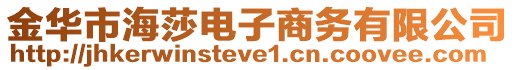 金華市海莎電子商務(wù)有限公司