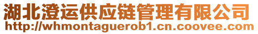 湖北澄運(yùn)供應(yīng)鏈管理有限公司