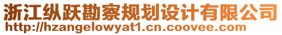 浙江縱躍勘察規(guī)劃設計有限公司