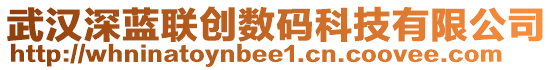 武漢深藍(lán)聯(lián)創(chuàng)數(shù)碼科技有限公司