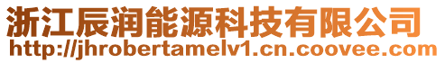 浙江辰潤能源科技有限公司