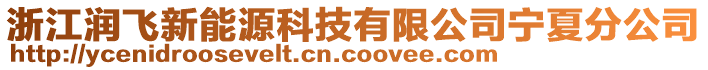 浙江潤(rùn)飛新能源科技有限公司寧夏分公司