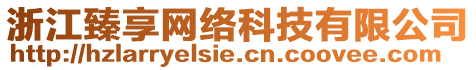 浙江臻享網(wǎng)絡科技有限公司