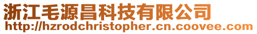 浙江毛源昌科技有限公司