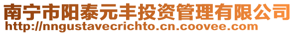 南寧市陽泰元豐投資管理有限公司