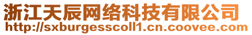 浙江天辰網絡科技有限公司
