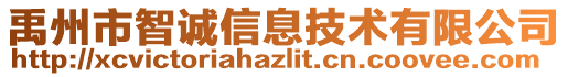 禹州市智誠(chéng)信息技術(shù)有限公司