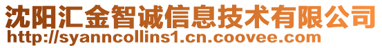 沈陽匯金智誠(chéng)信息技術(shù)有限公司