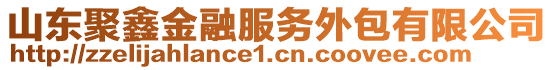 山東聚鑫金融服務外包有限公司