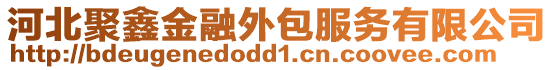 河北聚鑫金融外包服務有限公司