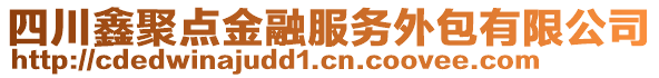 四川鑫聚點(diǎn)金融服務(wù)外包有限公司