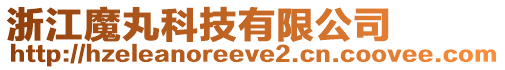 浙江魔丸科技有限公司