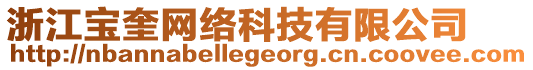 浙江寶奎網絡科技有限公司