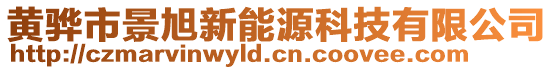 黃驊市景旭新能源科技有限公司