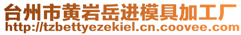 臺州市黃巖岳進(jìn)模具加工廠