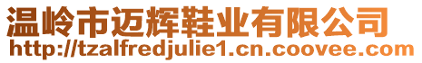 溫嶺市邁輝鞋業(yè)有限公司