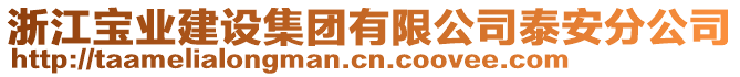 浙江寶業(yè)建設(shè)集團(tuán)有限公司泰安分公司