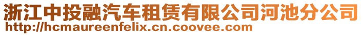 浙江中投融汽車租賃有限公司河池分公司