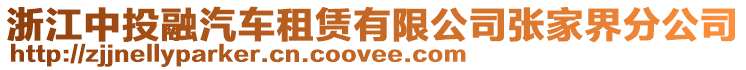 浙江中投融汽車租賃有限公司張家界分公司