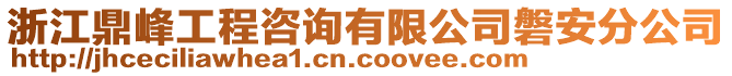 浙江鼎峰工程咨詢有限公司磐安分公司