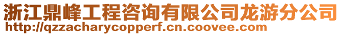 浙江鼎峰工程咨詢有限公司龍游分公司