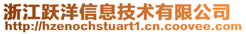 浙江躍洋信息技術(shù)有限公司